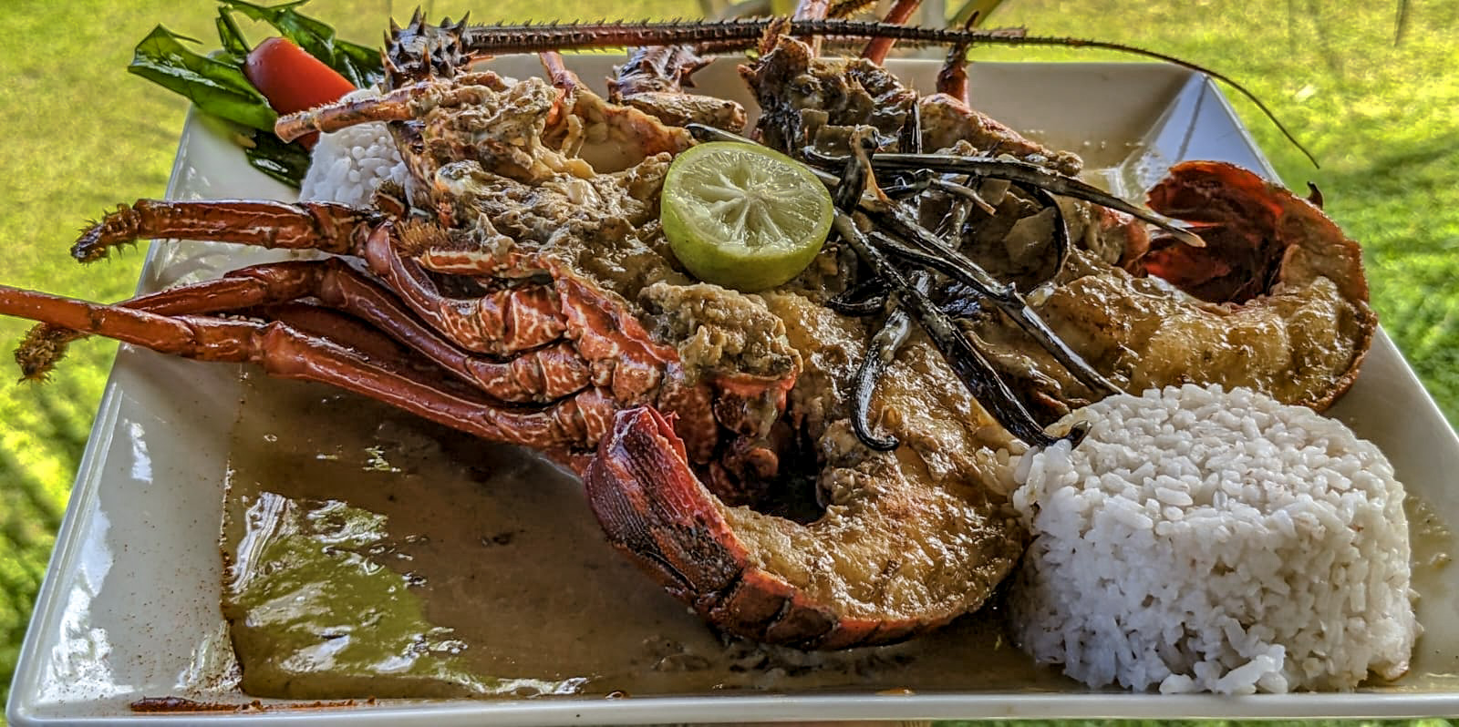 Plat Langoustes